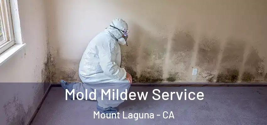  Mold Mildew Service Mount Laguna - CA