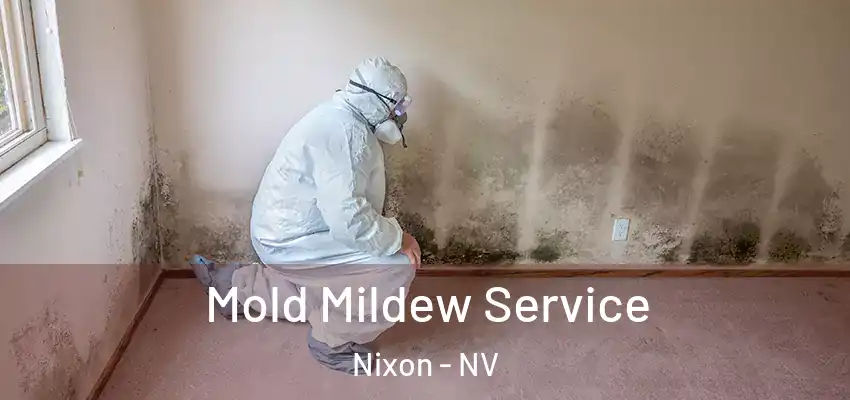  Mold Mildew Service Nixon - NV