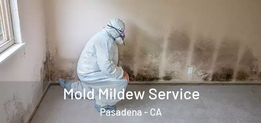 Mold Mildew Service Pasadena - CA