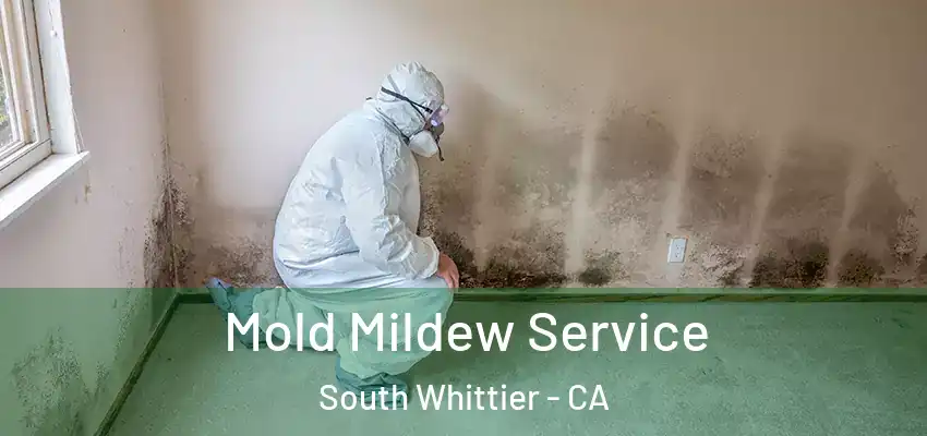 Mold Mildew Service South Whittier - CA