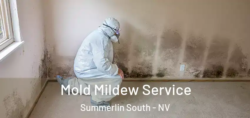  Mold Mildew Service Summerlin South - NV