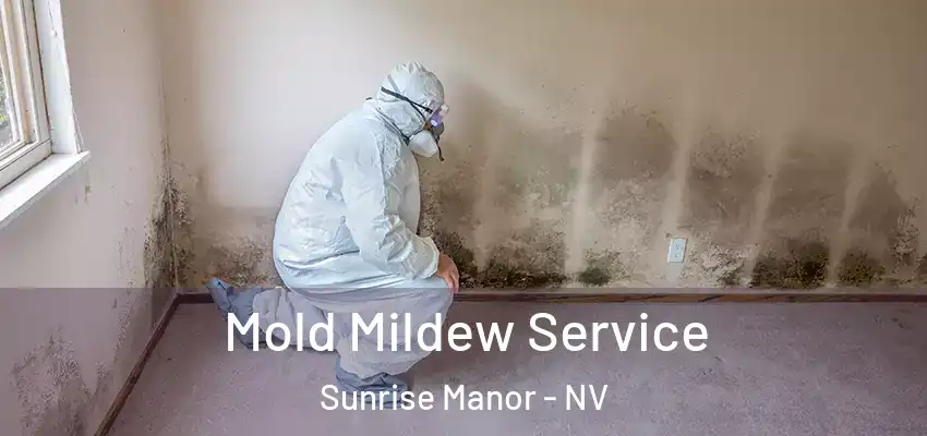  Mold Mildew Service Sunrise Manor - NV