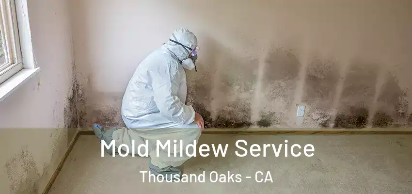  Mold Mildew Service Thousand Oaks - CA