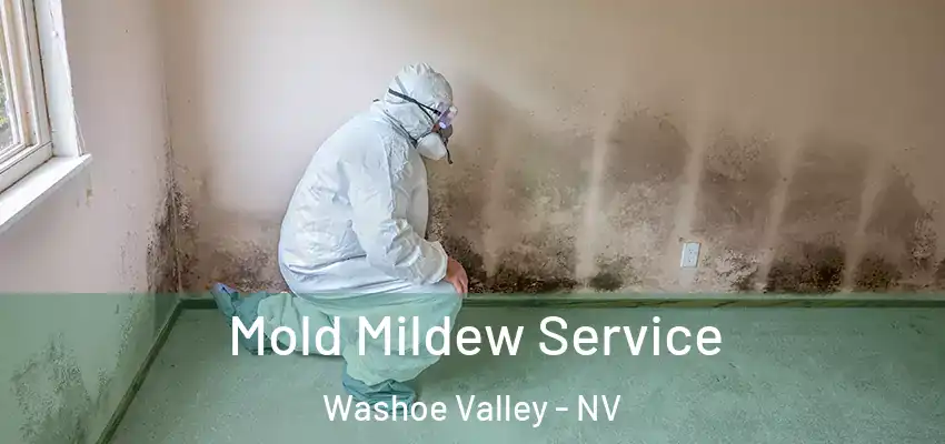  Mold Mildew Service Washoe Valley - NV