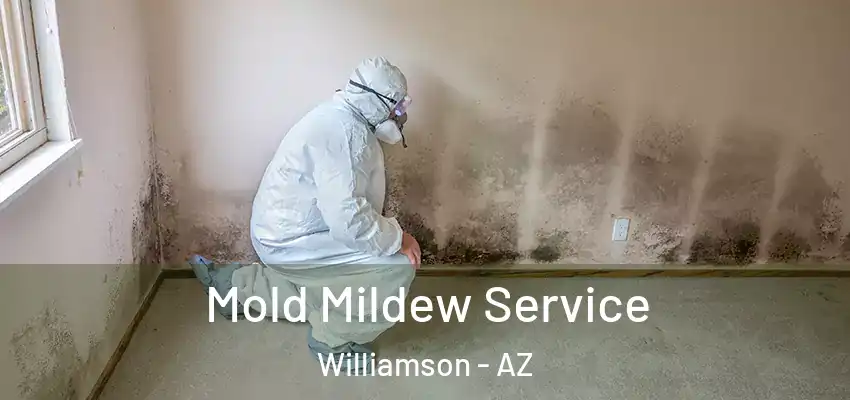 Mold Mildew Service Williamson - AZ