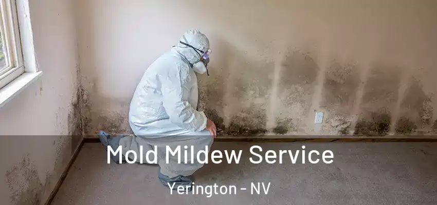  Mold Mildew Service Yerington - NV
