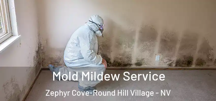  Mold Mildew Service Zephyr Cove-Round Hill Village - NV