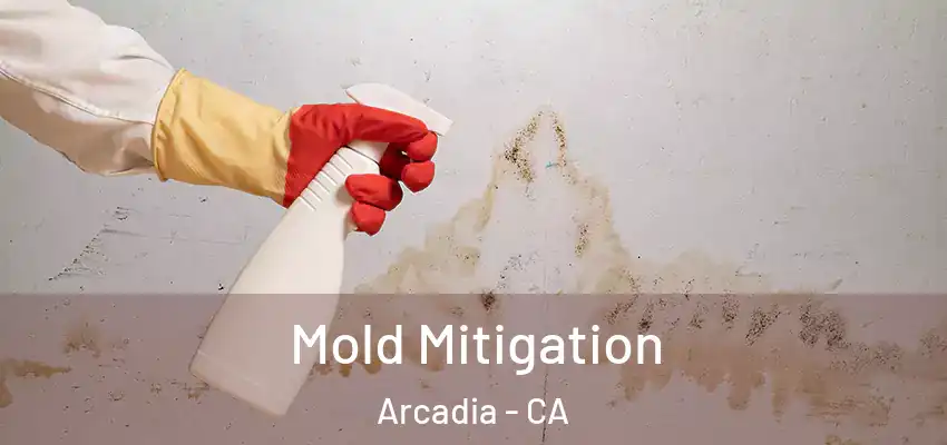  Mold Mitigation Arcadia - CA