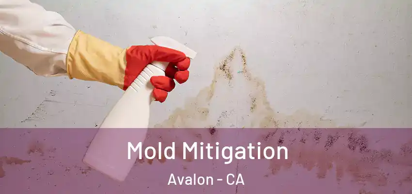  Mold Mitigation Avalon - CA