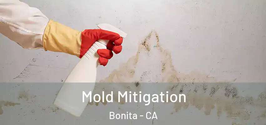  Mold Mitigation Bonita - CA