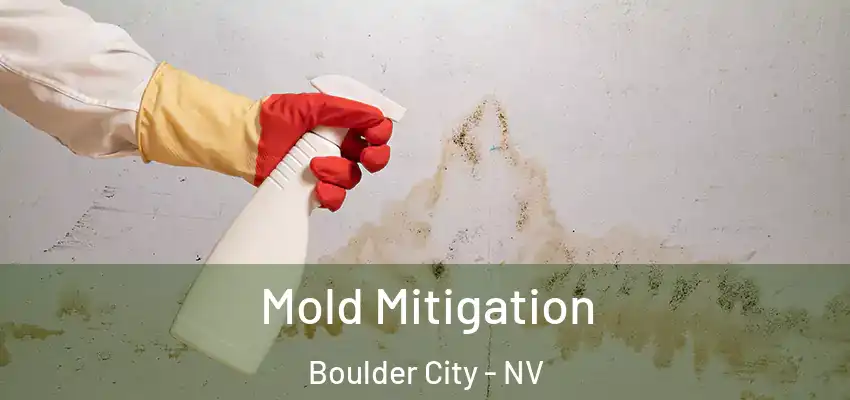  Mold Mitigation Boulder City - NV