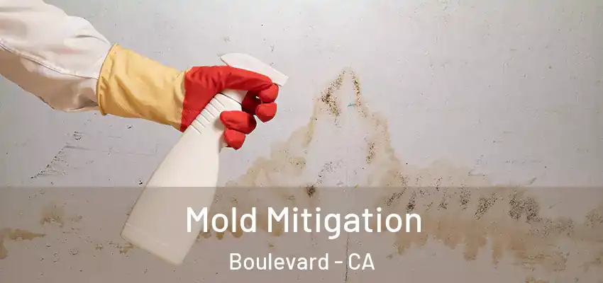  Mold Mitigation Boulevard - CA