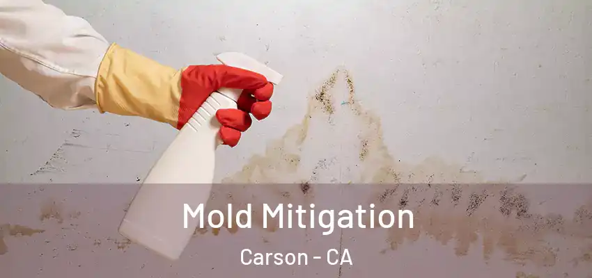  Mold Mitigation Carson - CA