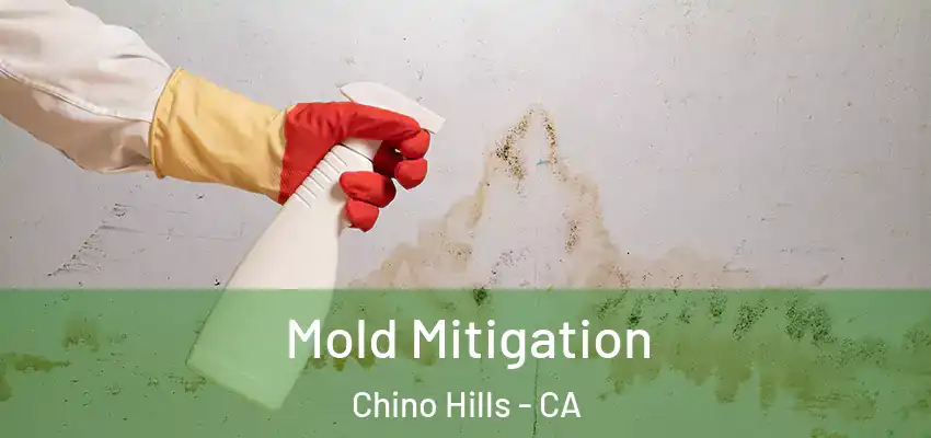  Mold Mitigation Chino Hills - CA