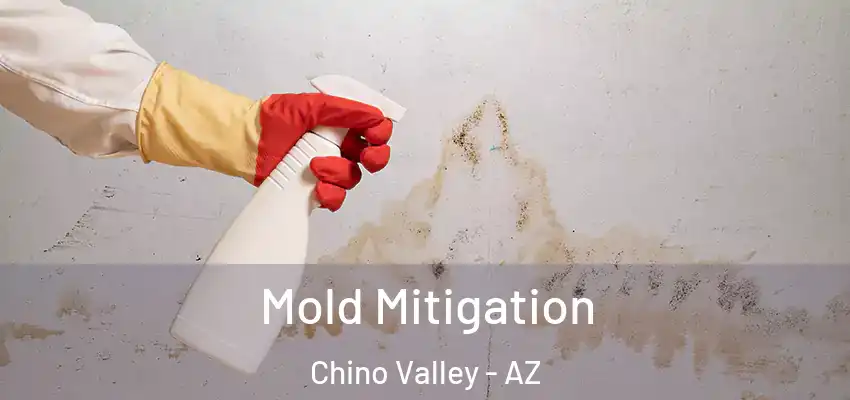  Mold Mitigation Chino Valley - AZ