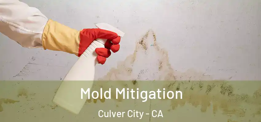  Mold Mitigation Culver City - CA