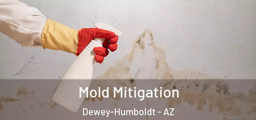  Mold Mitigation Dewey-Humboldt - AZ