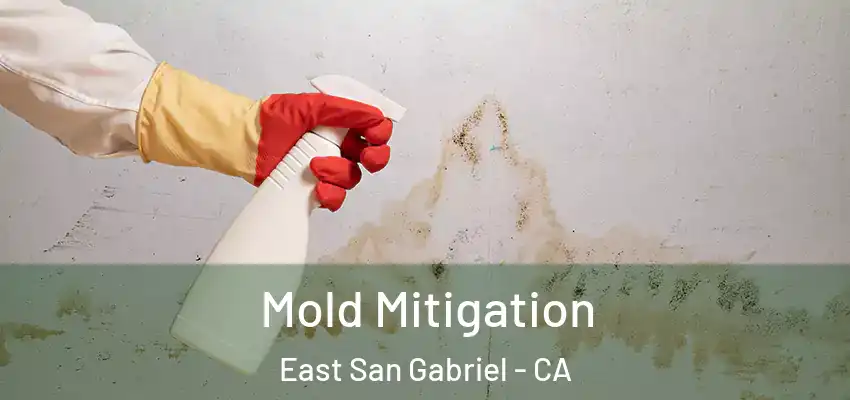  Mold Mitigation East San Gabriel - CA