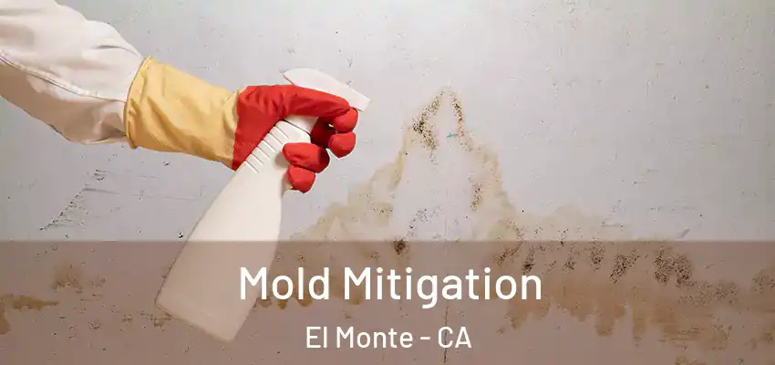  Mold Mitigation El Monte - CA