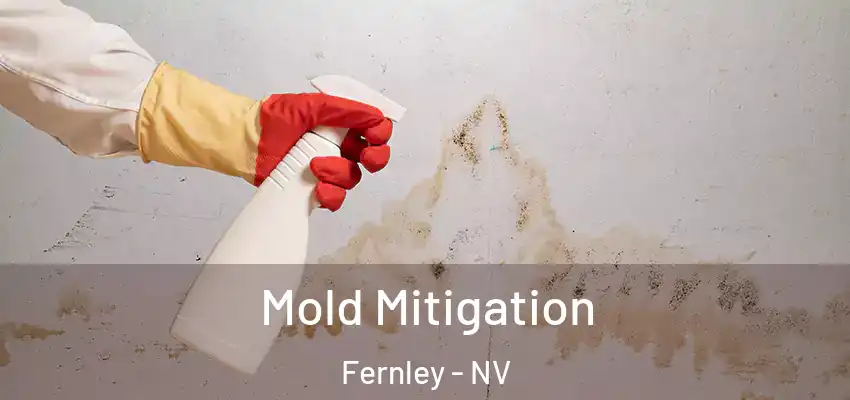  Mold Mitigation Fernley - NV
