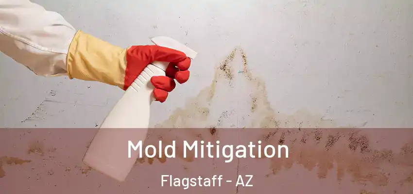  Mold Mitigation Flagstaff - AZ