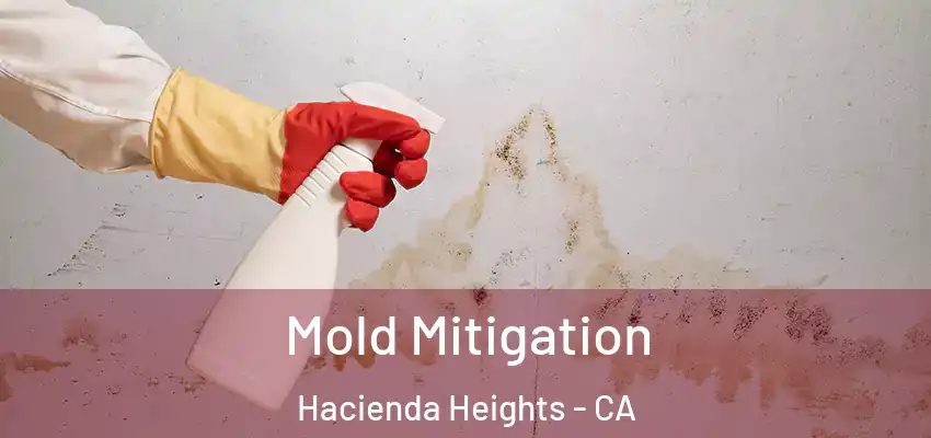  Mold Mitigation Hacienda Heights - CA