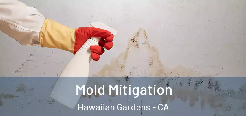  Mold Mitigation Hawaiian Gardens - CA