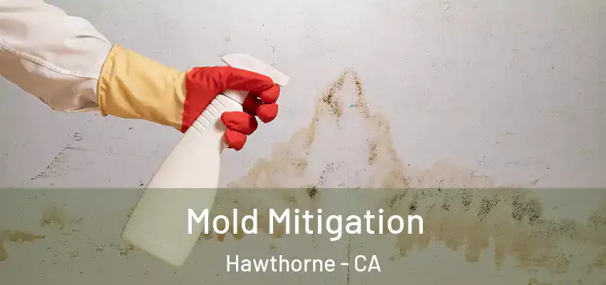  Mold Mitigation Hawthorne - CA