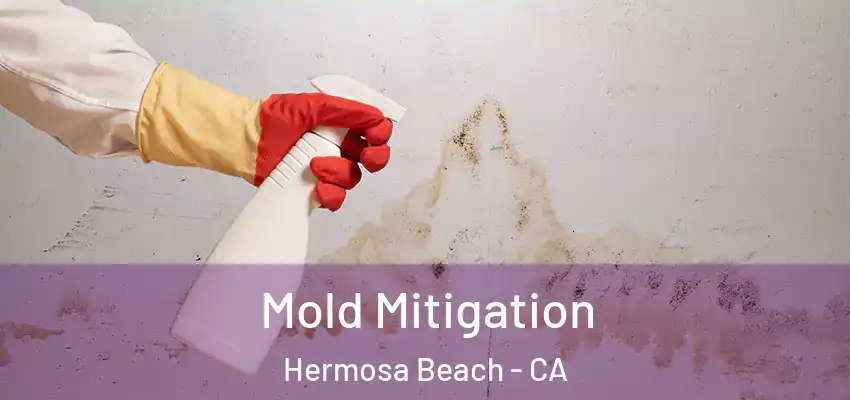  Mold Mitigation Hermosa Beach - CA
