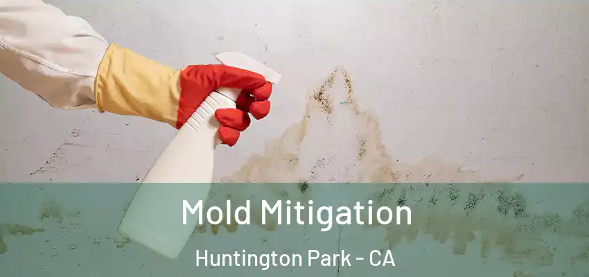 Mold Mitigation Huntington Park - CA