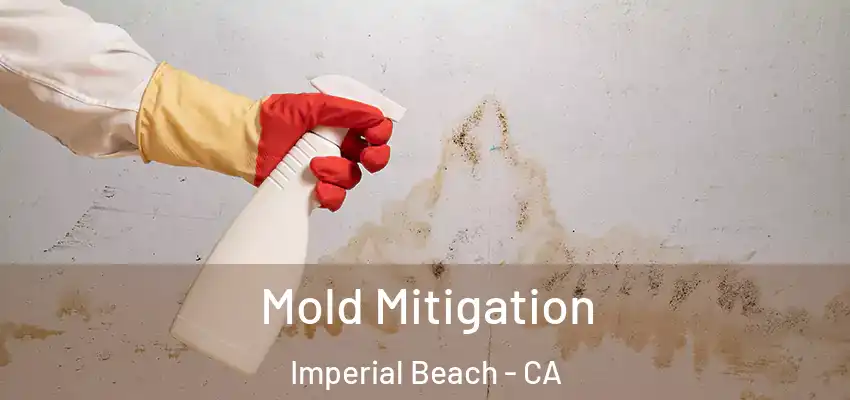  Mold Mitigation Imperial Beach - CA