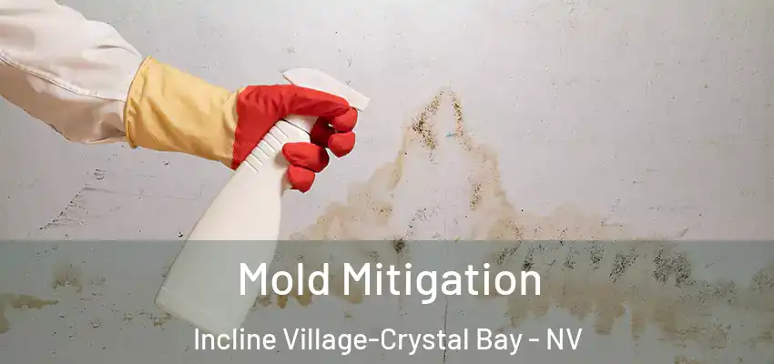  Mold Mitigation Incline Village-Crystal Bay - NV