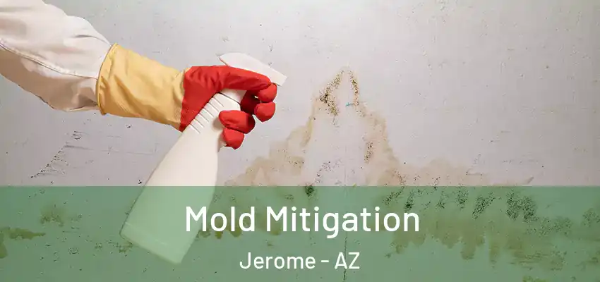  Mold Mitigation Jerome - AZ