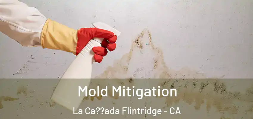 Mold Mitigation La Ca??ada Flintridge - CA