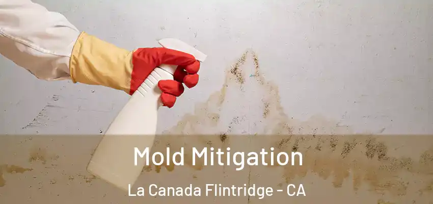  Mold Mitigation La Canada Flintridge - CA