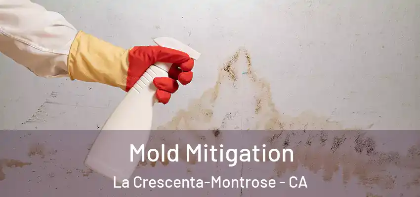  Mold Mitigation La Crescenta-Montrose - CA