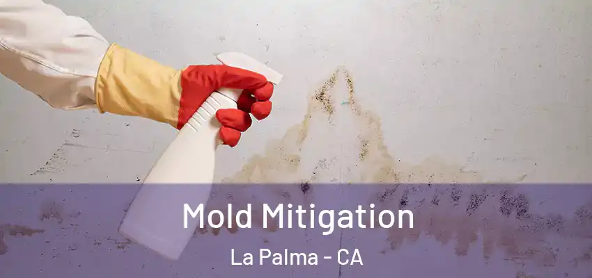 Mold Mitigation La Palma - CA