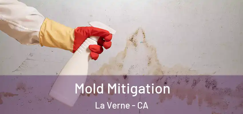  Mold Mitigation La Verne - CA