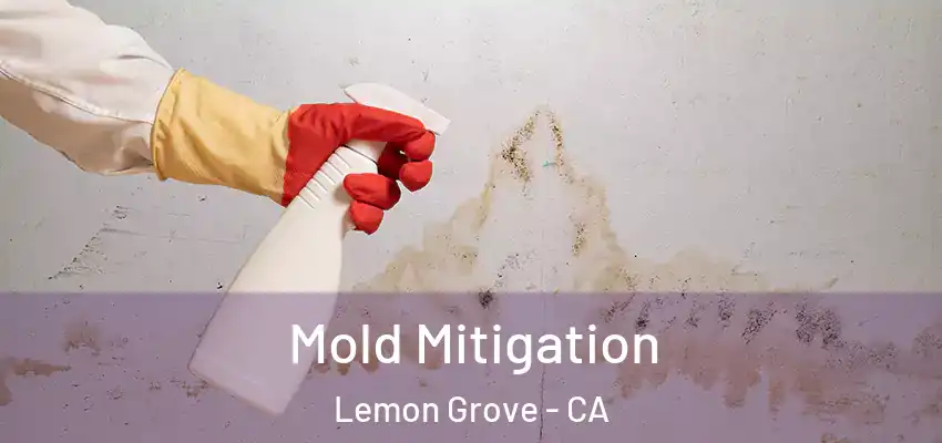  Mold Mitigation Lemon Grove - CA