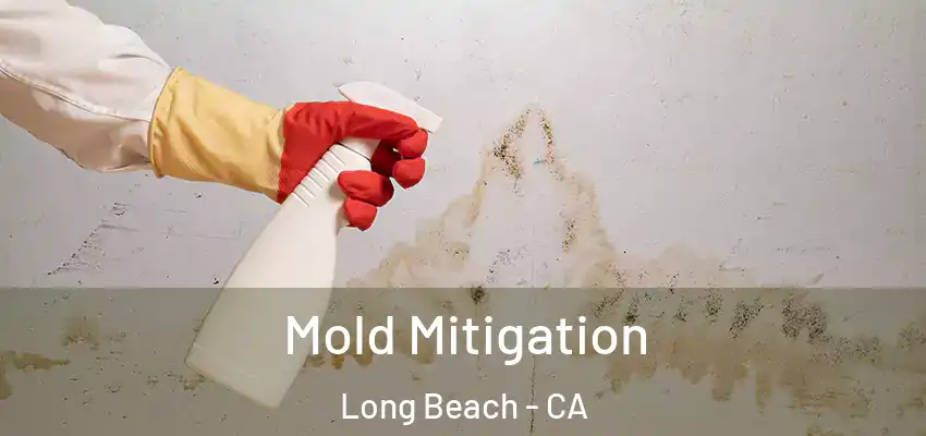  Mold Mitigation Long Beach - CA