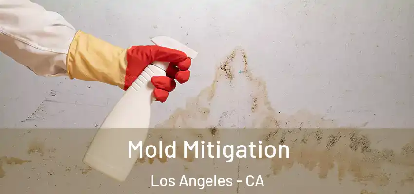Mold Mitigation Los Angeles - CA
