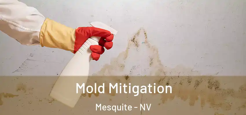  Mold Mitigation Mesquite - NV