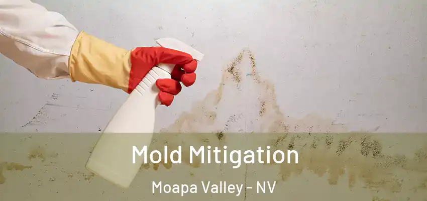  Mold Mitigation Moapa Valley - NV