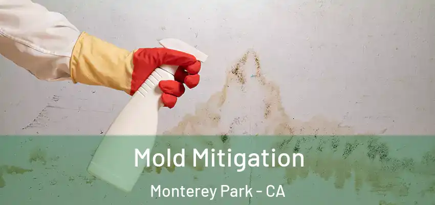 Mold Mitigation Monterey Park - CA
