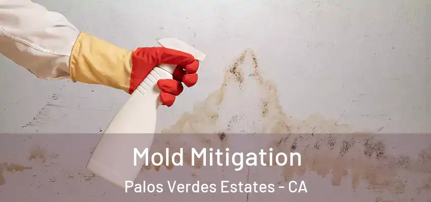  Mold Mitigation Palos Verdes Estates - CA