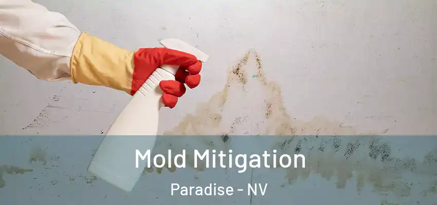  Mold Mitigation Paradise - NV