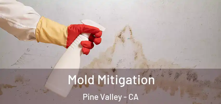  Mold Mitigation Pine Valley - CA