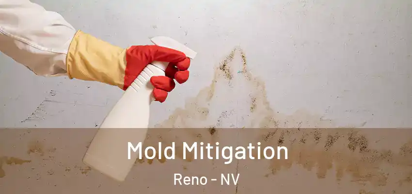 Mold Mitigation Reno - NV