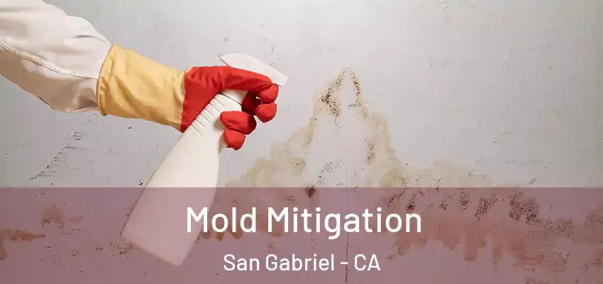  Mold Mitigation San Gabriel - CA