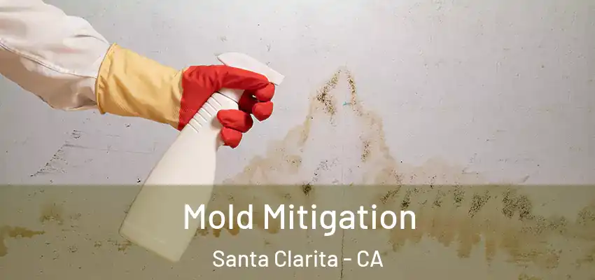  Mold Mitigation Santa Clarita - CA